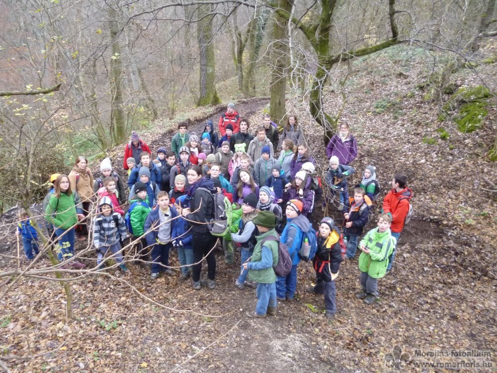 Megérkeztünk a várhoz