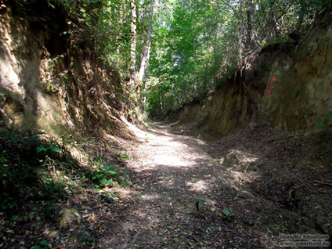 Mélyút Győrújbarát közelében