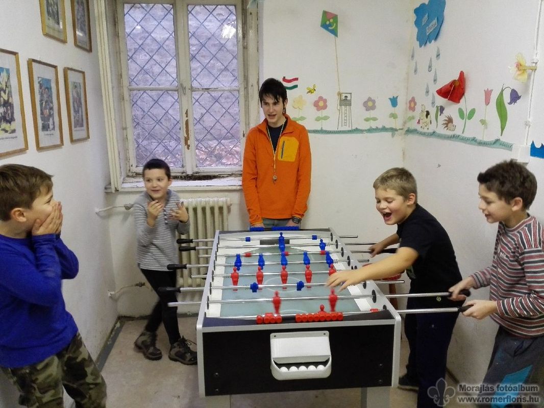 Vattafarkú nyúl őrs