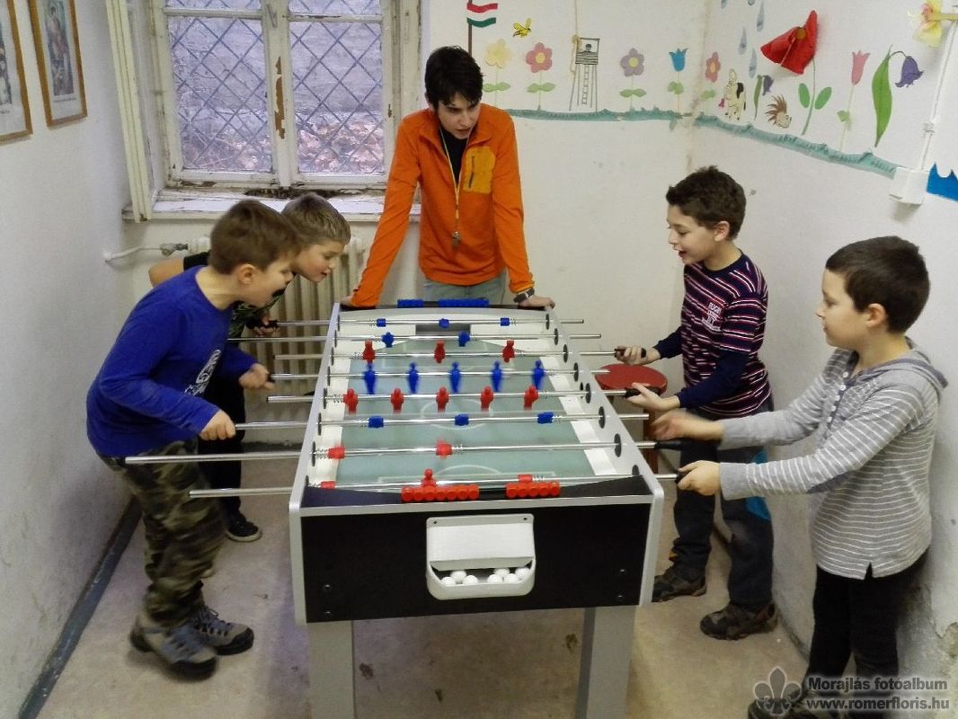 Vattafarkú nyúl őrs