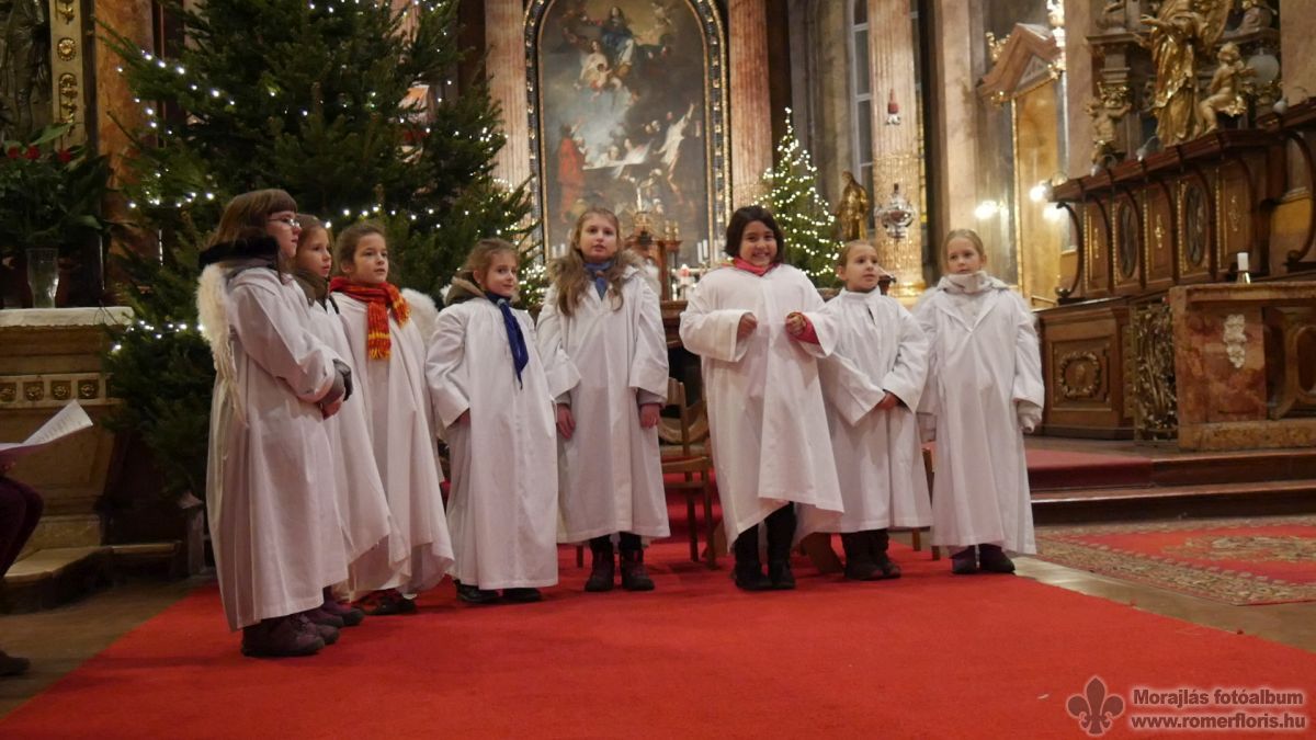 Jégmadarak, mint angyalok