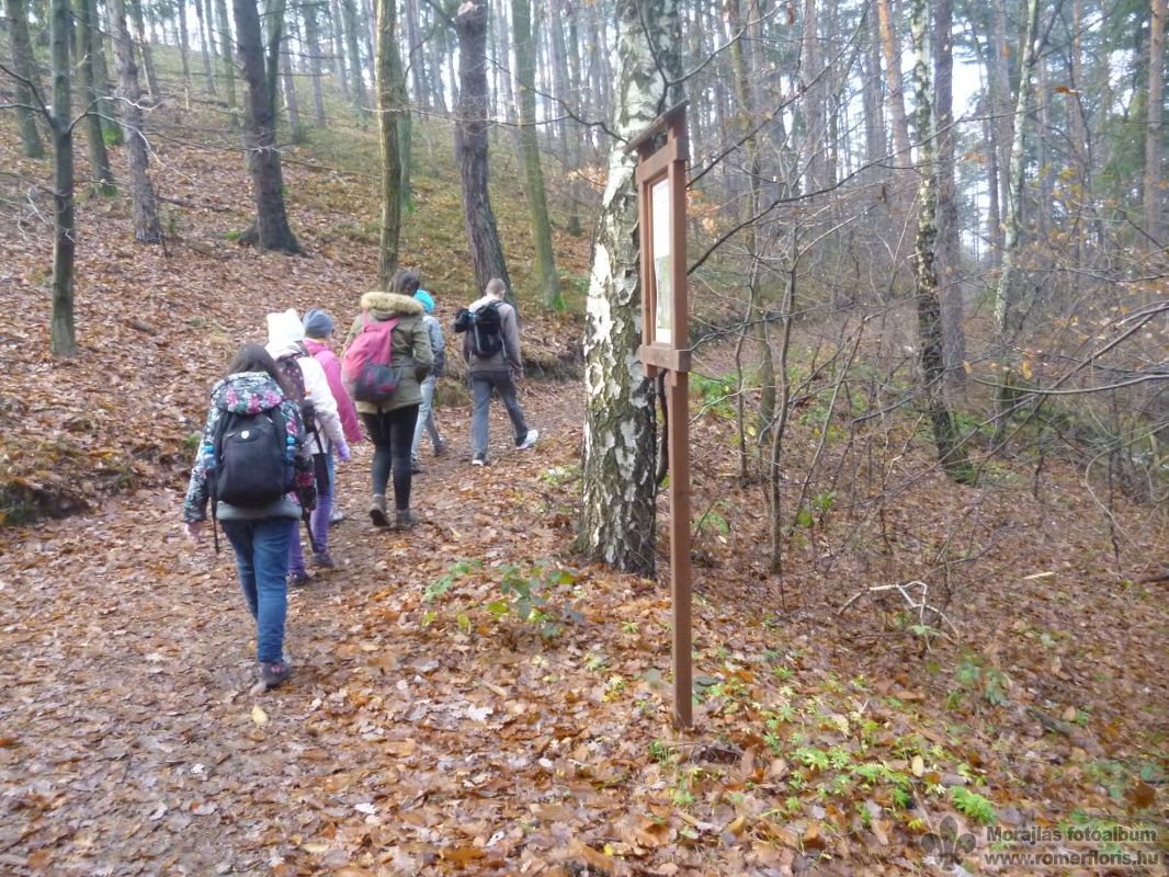 A Ciklámen-tanösvényen