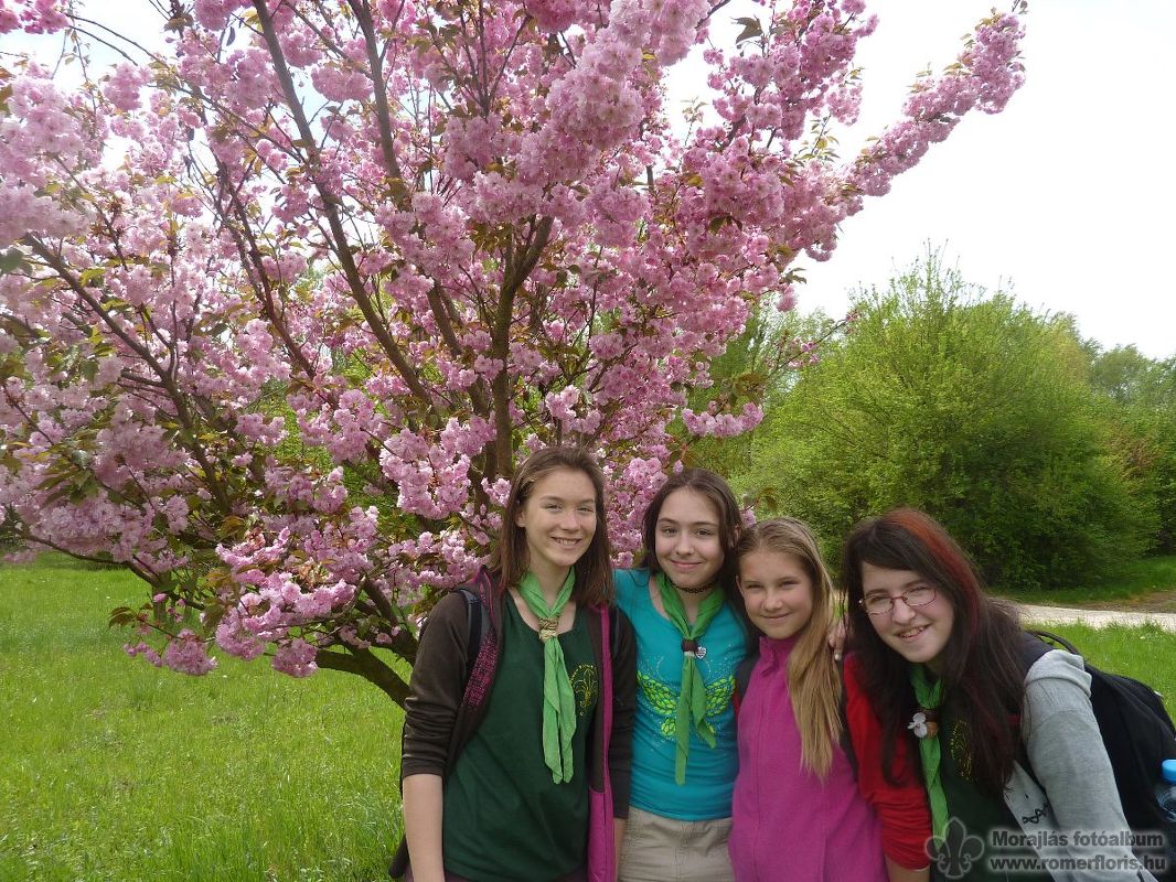 Hóbagoly őrs, Bábolna