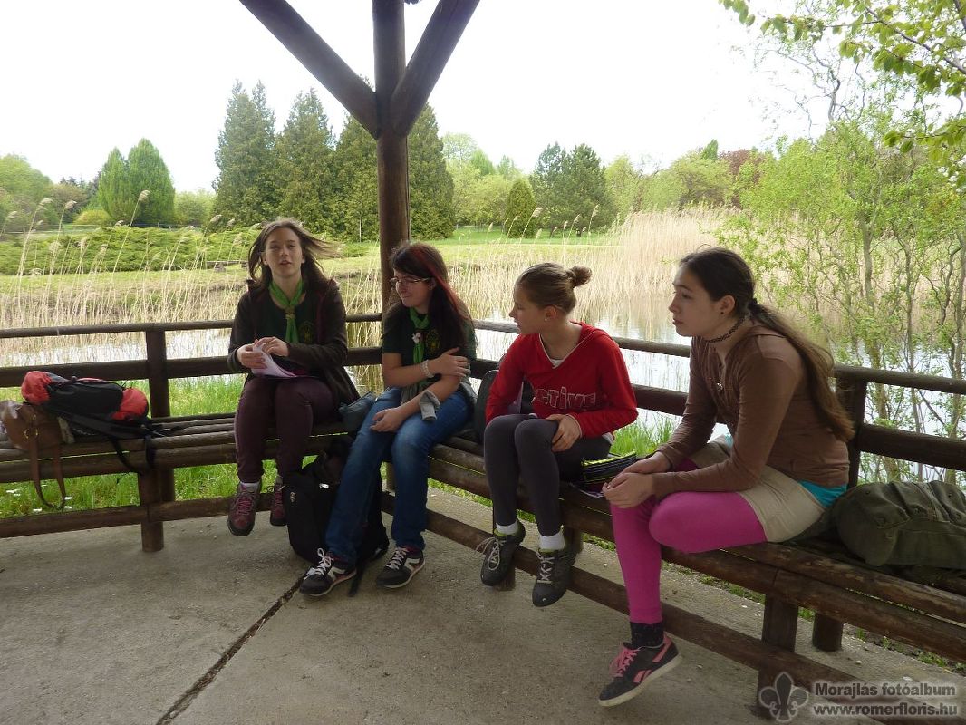 Hóbagoly őrs, Bábolna