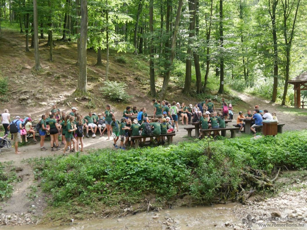 Pihenőhely a Római-fürdő közelében
