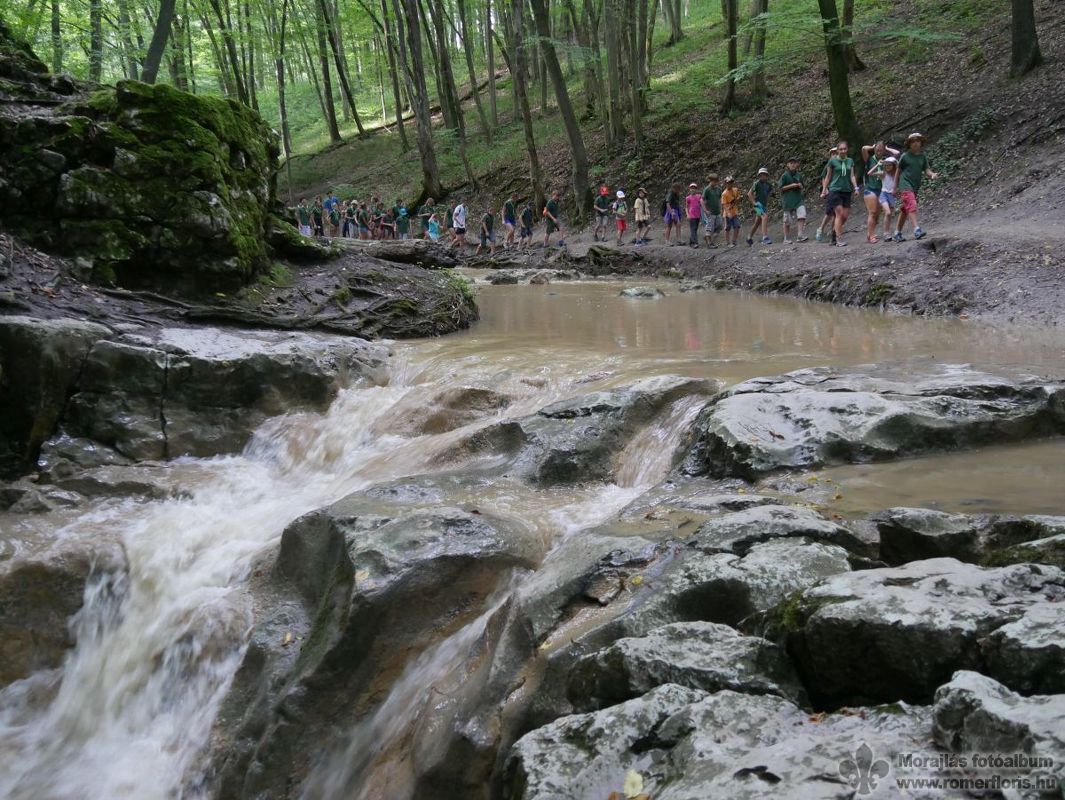 Úton a Római-fürdő felé