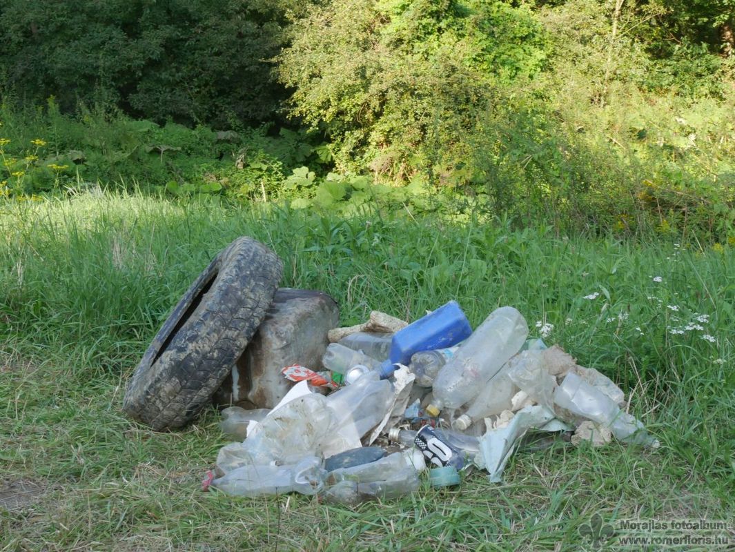 A tábor melletti patakszakaszból ennyi szemetet gyűjtöttünk