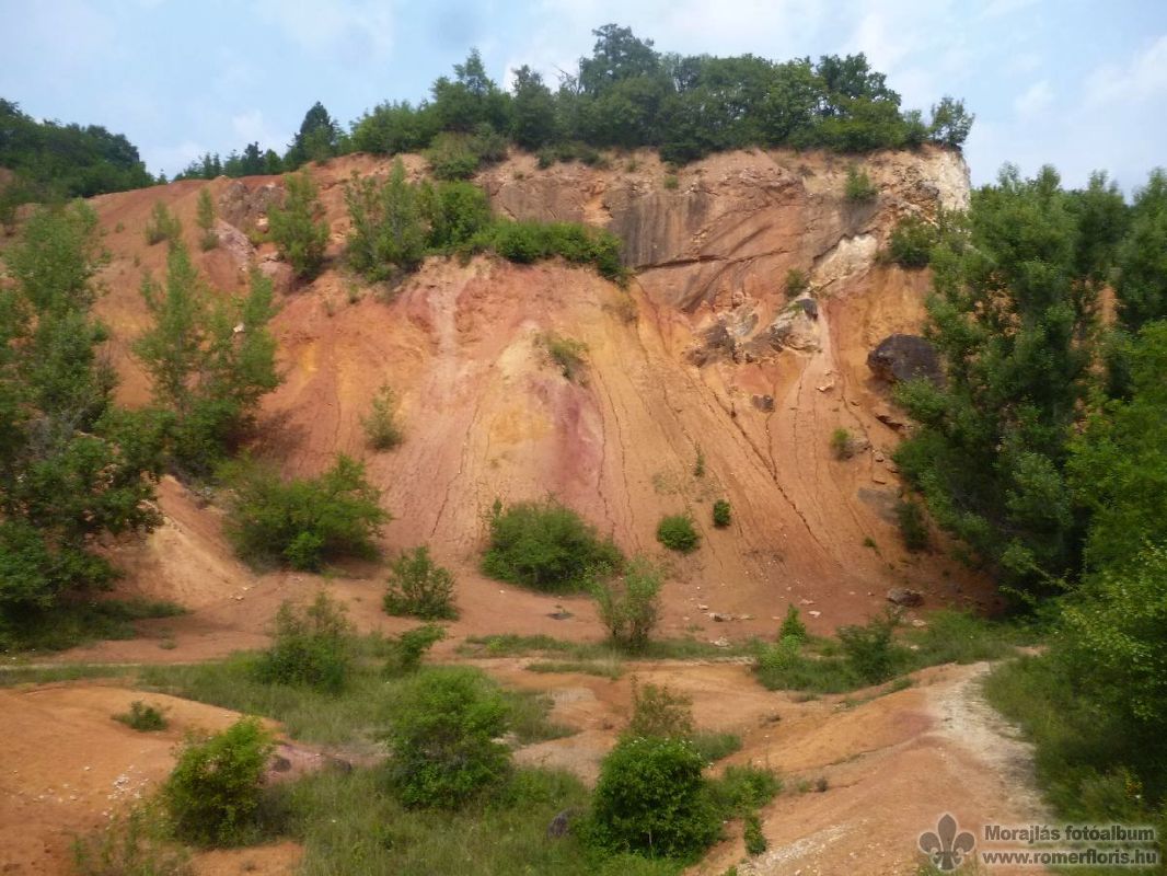 A külszíni fejtés