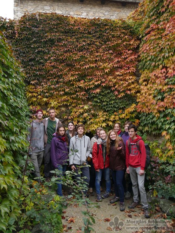 Csoportkép vadszőlővel