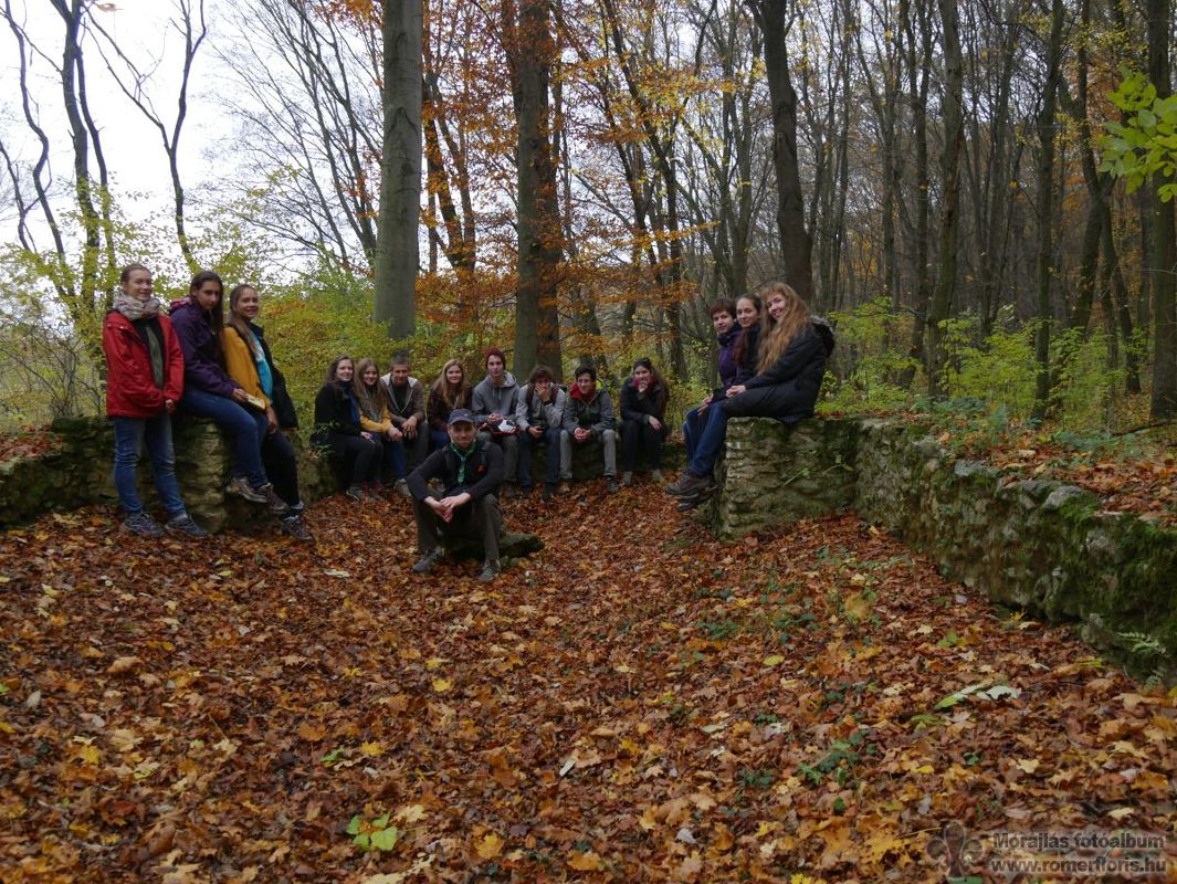 A Tálodi templom romja