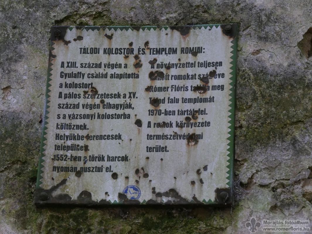 Ki találta meg a romokat?