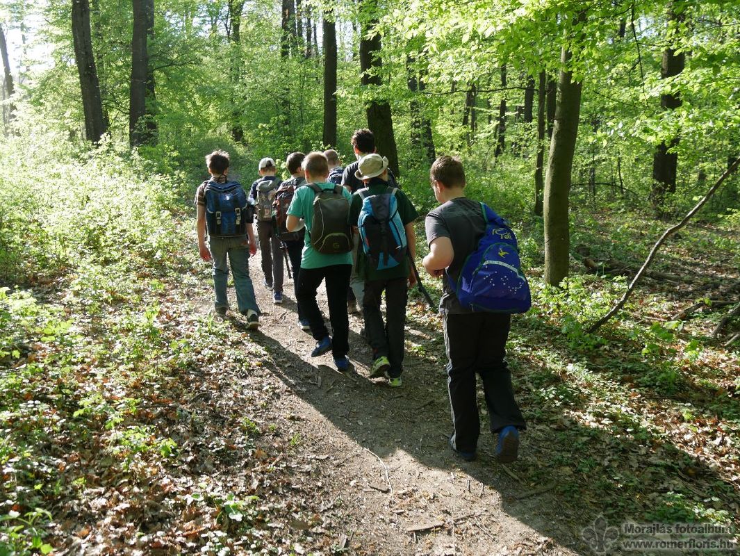 Mosómedve őrs, Vinye-Csesznek-Vinye