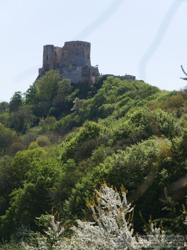 Mosómedve őrs, Vinye-Csesznek-Vinye