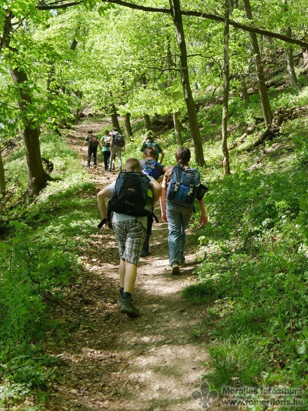 Mosómedve őrs, Vinye-Csesznek-Vinye