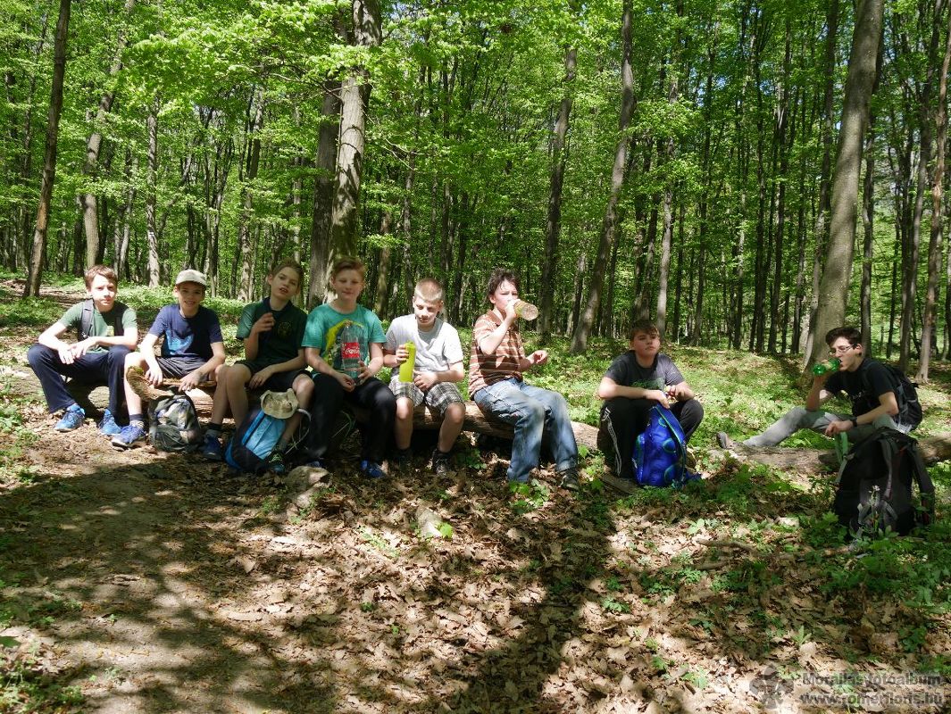 Mosómedve őrs, Vinye-Csesznek-Vinye