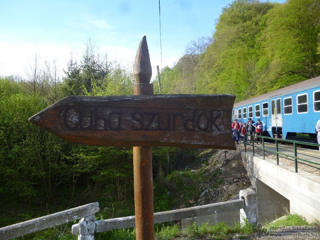 Opossum őrs, Vinye-Porvacsesznek