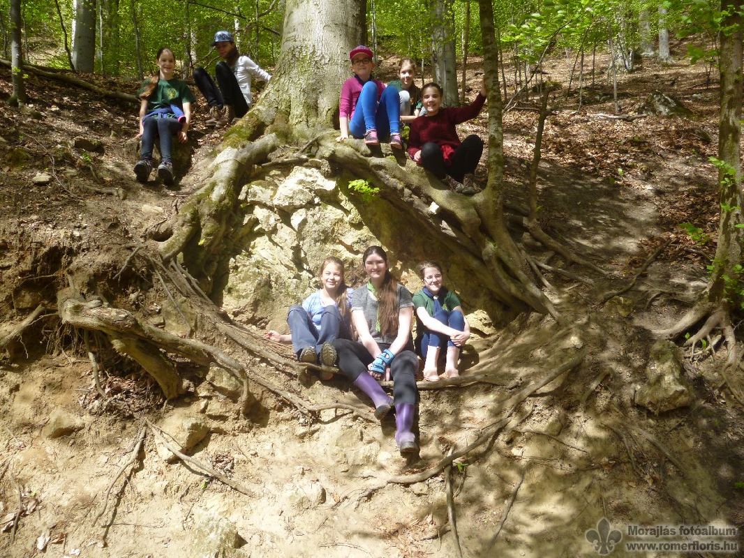 Opossum őrs, Vinye-Porvacsesznek