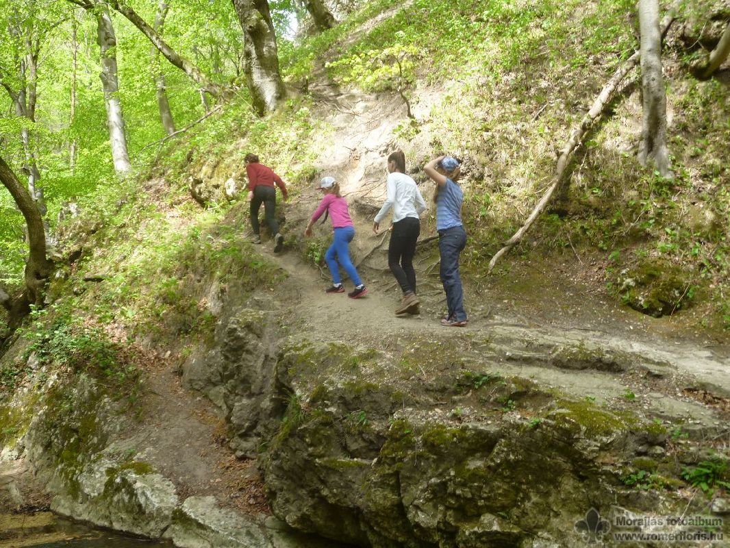 Opossum őrs, Vinye-Porvacsesznek