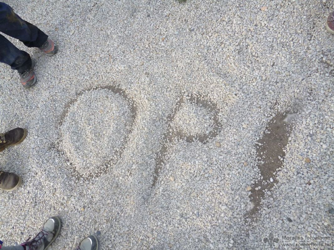 Opossum őrs, Vinye-Porvacsesznek