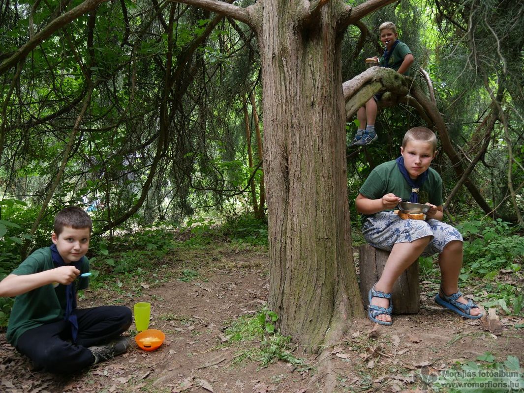 Étkezés vattafarkú nyúl módra