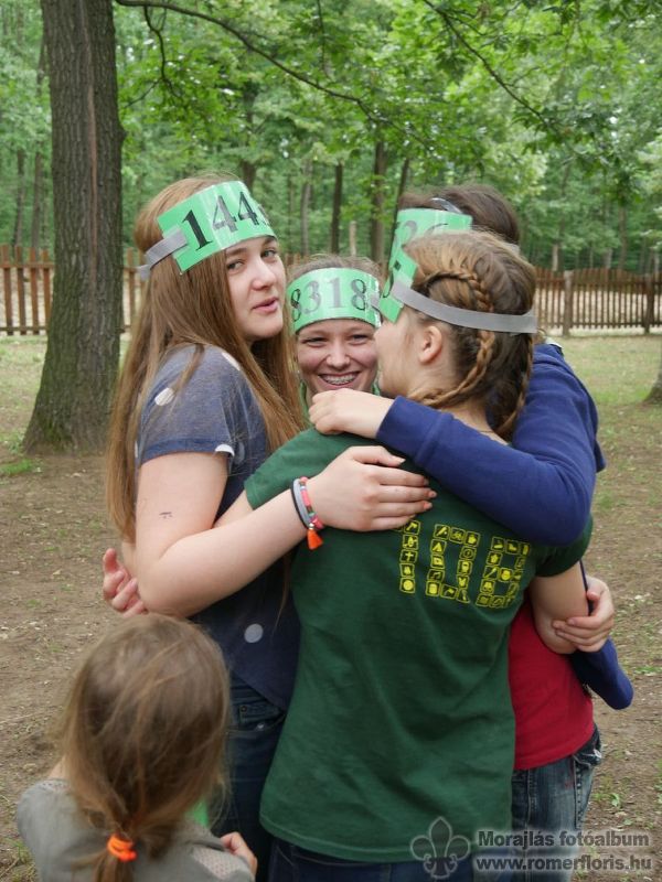 Összetartó zöld fókák