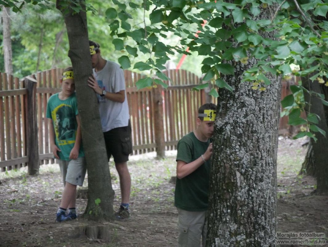 Sárgák megbúvóak