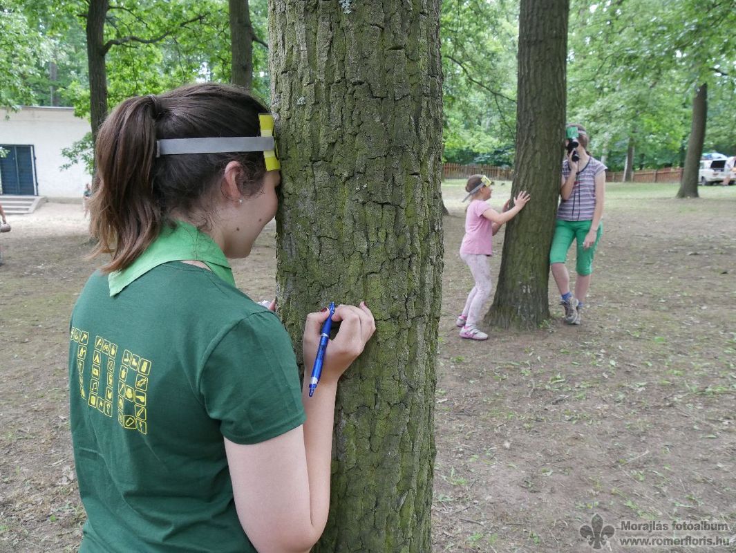 Panni cseles és jegyzetel