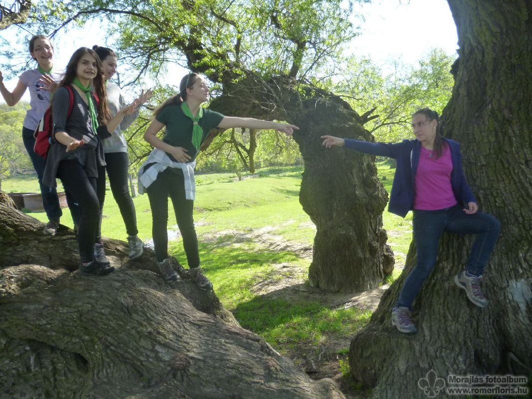 Sarki róka őrs, Szárliget-Szár