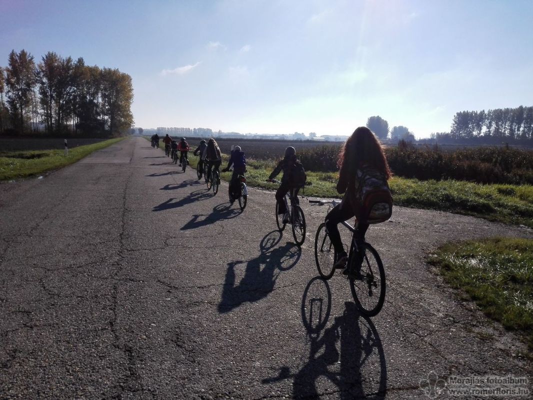 Vámosszabadi és Nagybajcs között