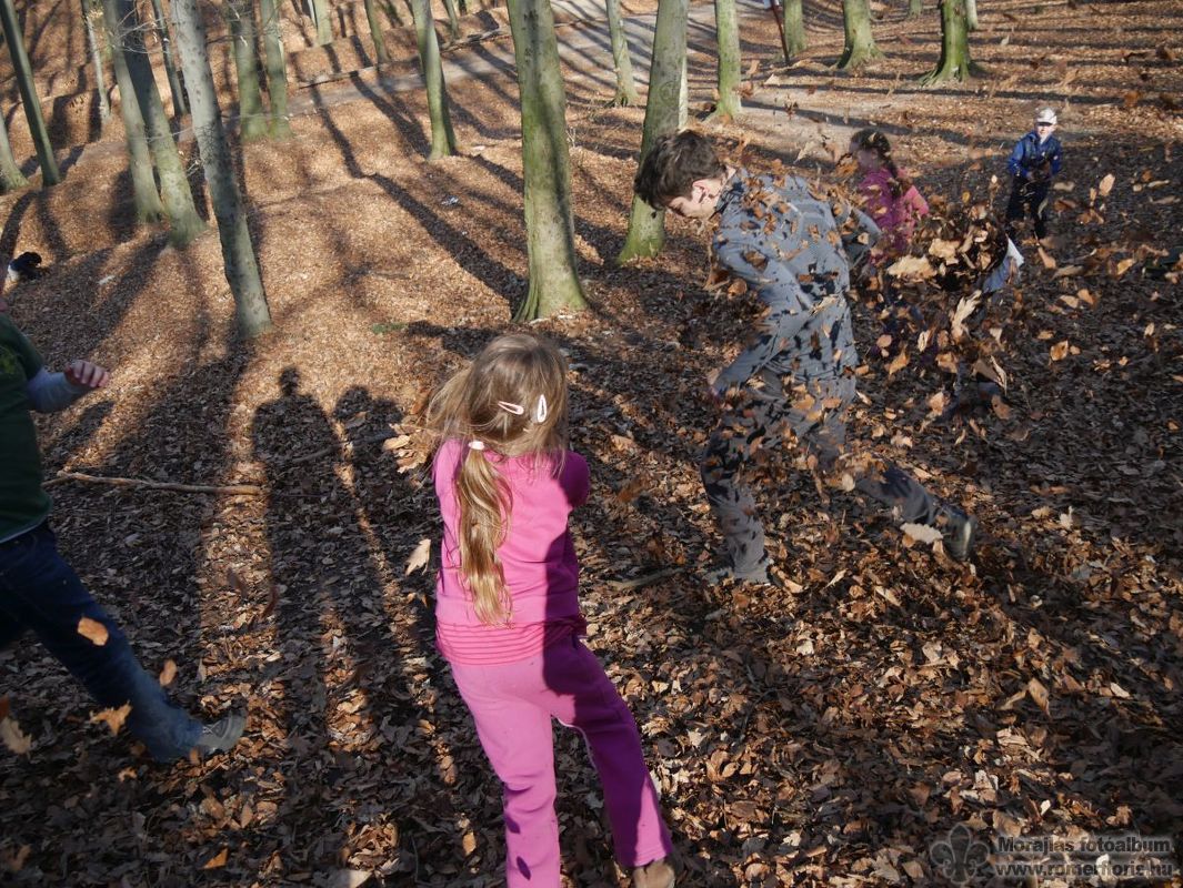 Misi össztűz alatt