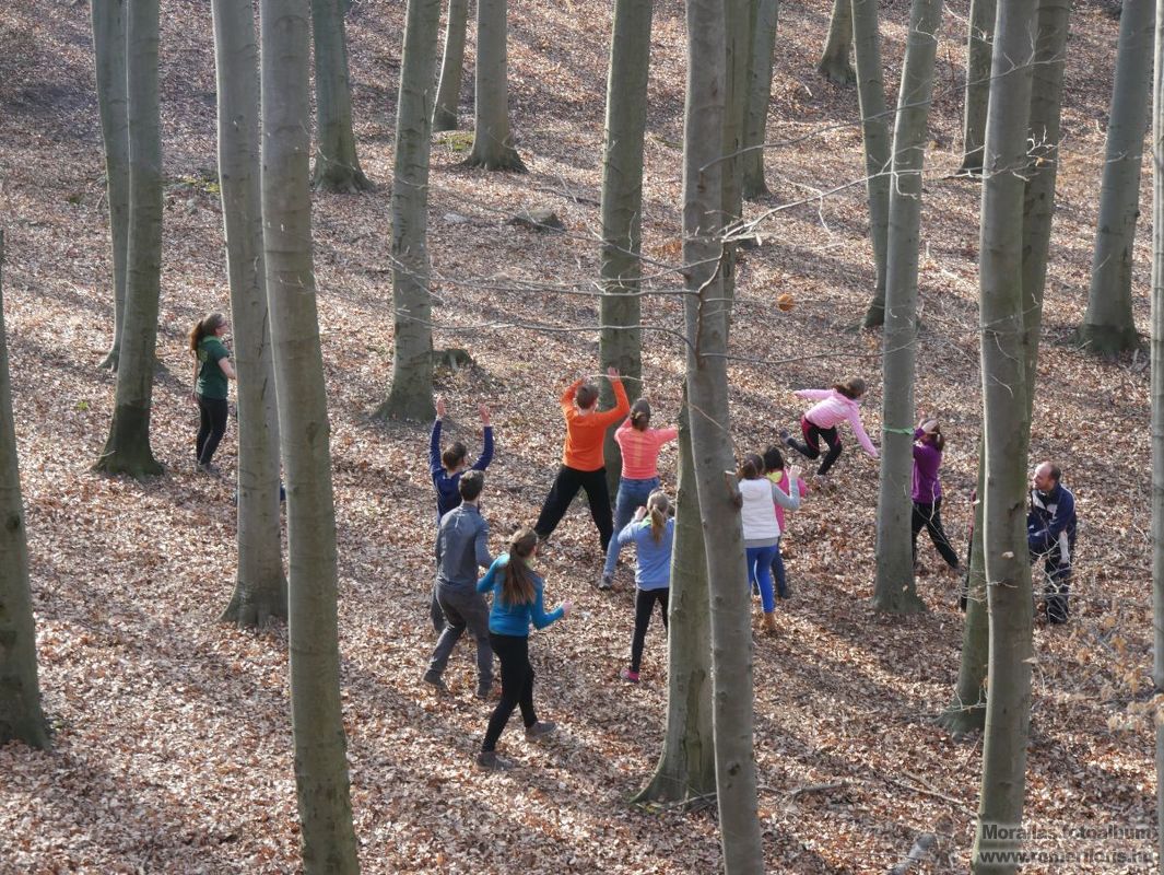 Csata madártávlatból