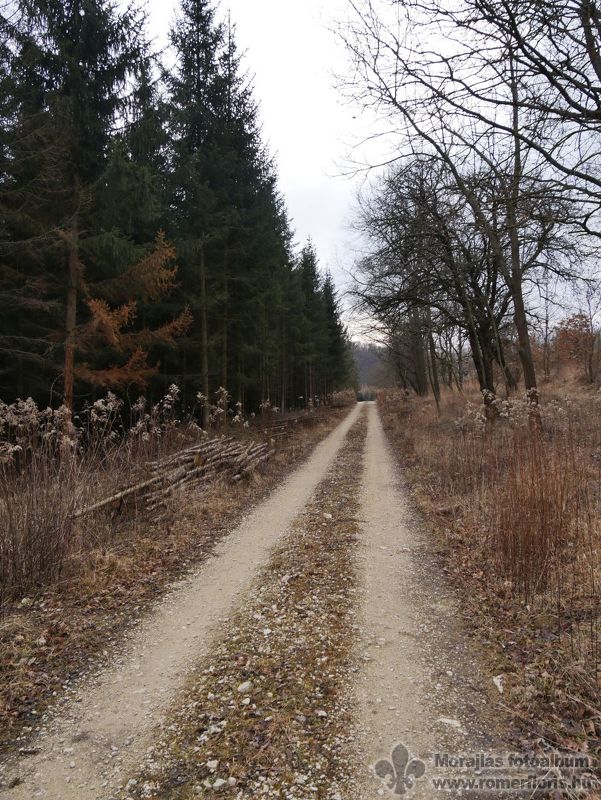 Út a Jánosházi vadászház felé