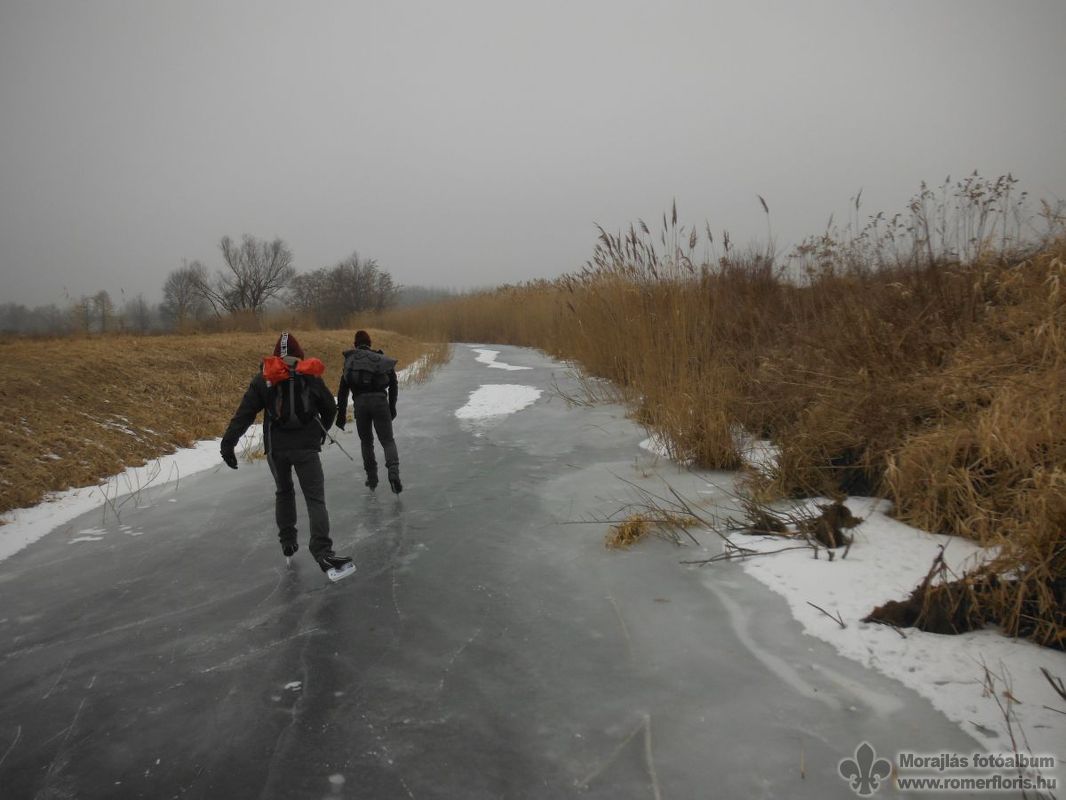 Vámosszabadi közelében