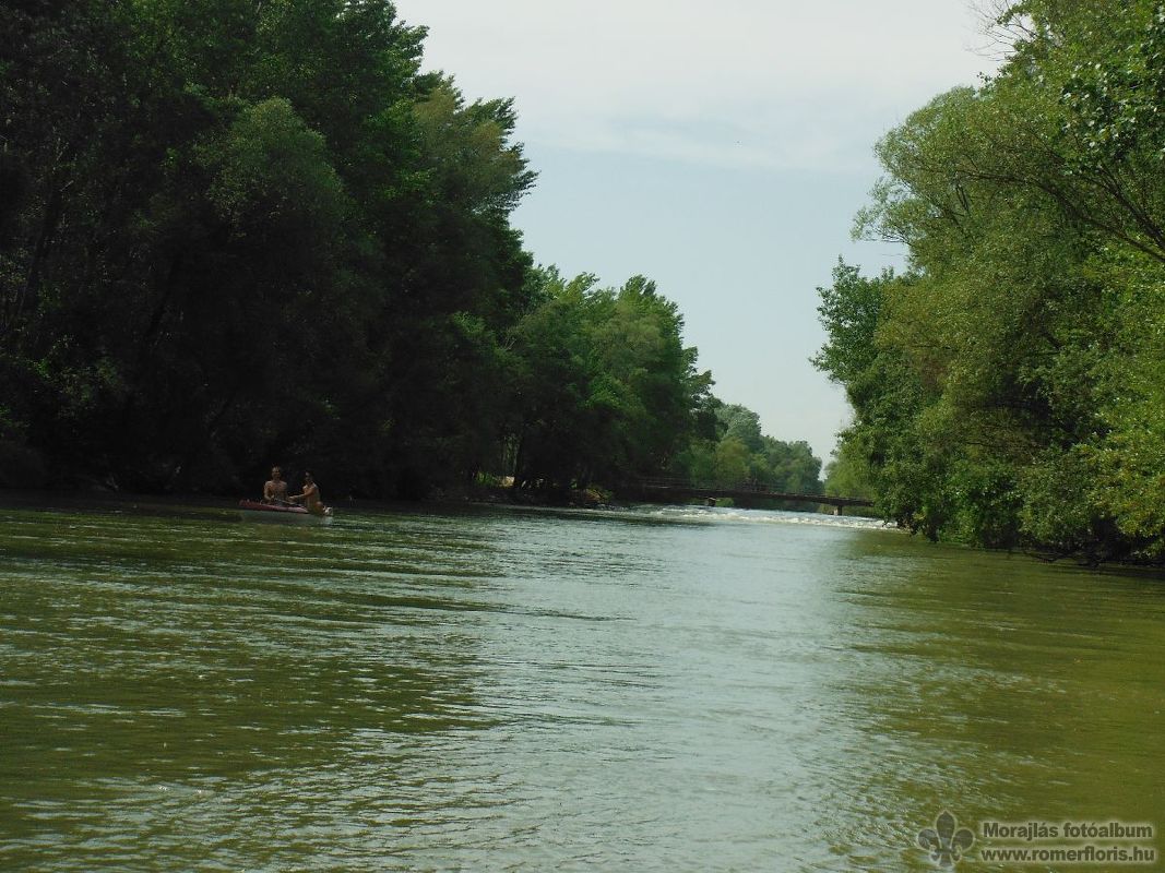 A dunaremetei hídnál