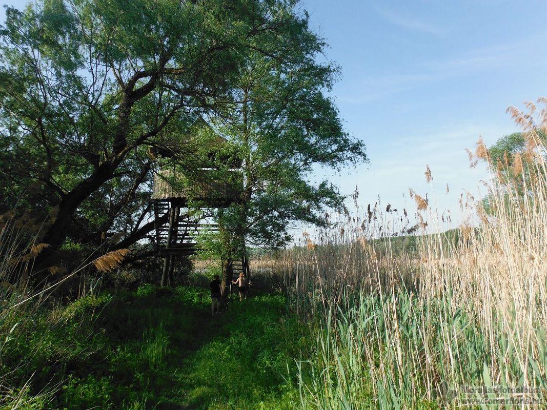 Madárvárta Ásványrárónál