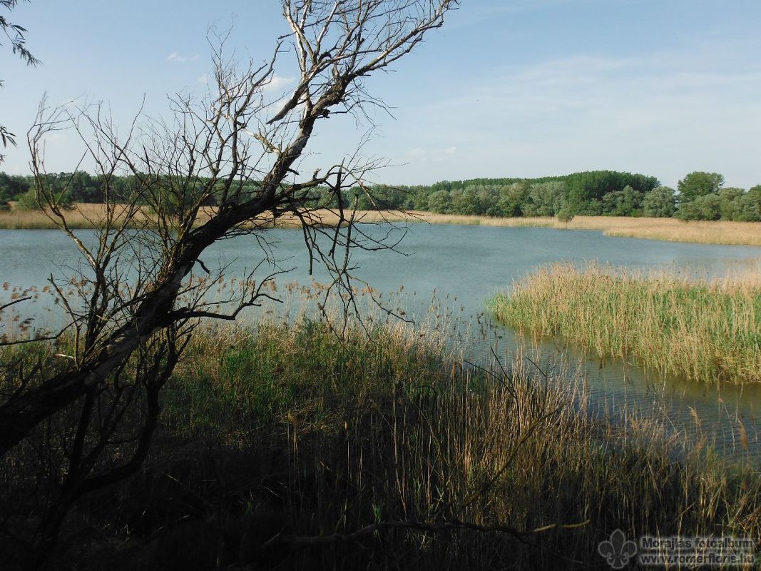 Kilátás a madárvártáról