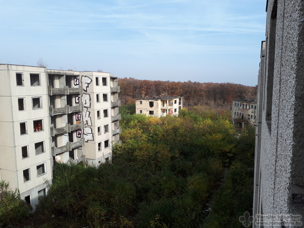 Őszi élet panellal