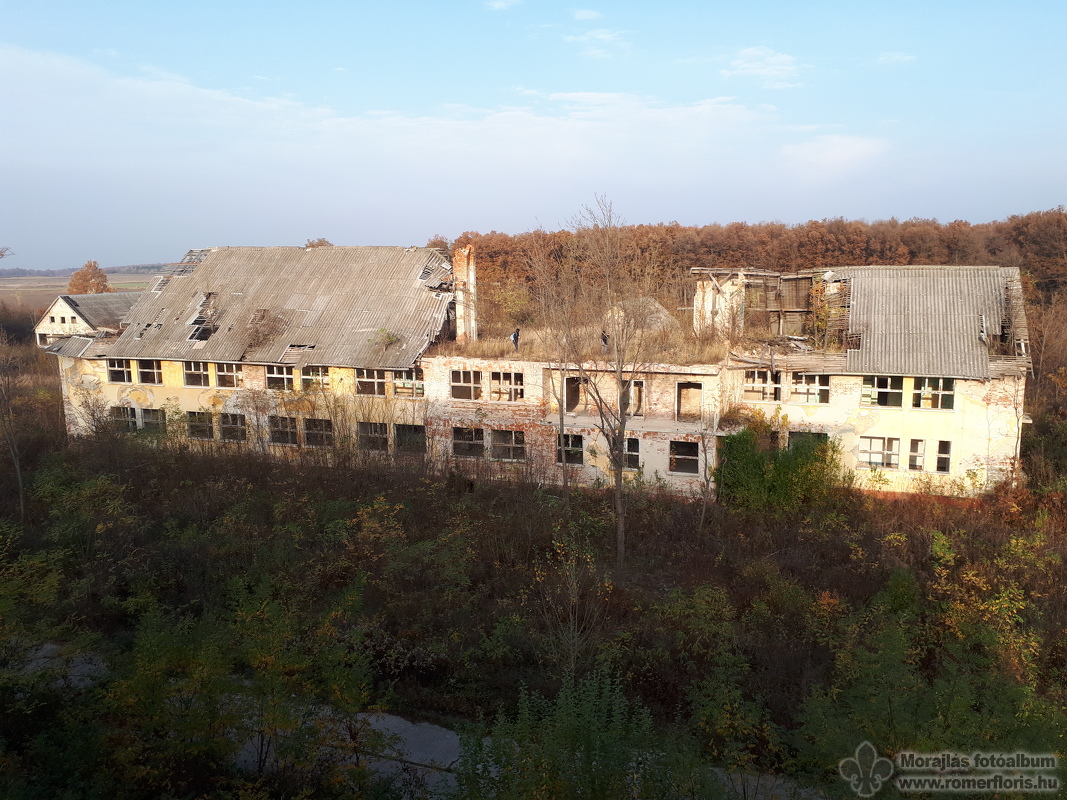 Kirándulók a szomszéd ház tetején